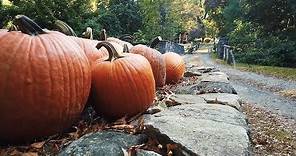 6 Places To Visit In SLEEPY HOLLOW, NY [ Washington Irving] | In Literature