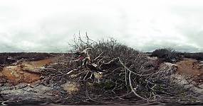 Experience a 360 view of the Galápagos Islands
