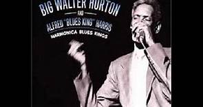 Big Walter Horton - Harmonica Blues Kings