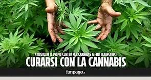 In Sicilia nasce il primo centro per cannabis a fini terapeutici