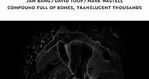 Jan Bang / David Toop / Mark Wastell - Compound Full Of Bones, Translucent Thousands