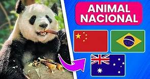 Adivina el PAÍS por el ANIMAL NACIONAL ✅ | Test de Animales y de Cultura General 🦅🌎🐨