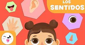 Los cinco sentidos para niños - Educación infantil