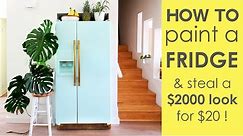 How to Paint a Fridge ( & Steal a $2000 Look ! )