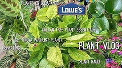 Busy Day! You Won't believe what I found at Lowes! Dollar Tree Shopping and Plant Chores! Plant Haul