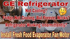 How to Fix GE Profile Refrigerator Section Not Cooling | Freezer Works Fine | Model PFE27KSDASS