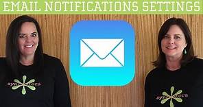 iPhone / iPad Email Notifications Settings