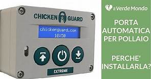 Porta automatica per pollaio: come funziona e perché installarla?