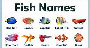 Fish Names in English | List of Fish Names with Pronunciations and Pictures