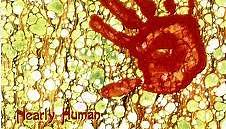 Todd Rundgren - Nearly Human