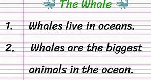 Whale Essay in English 10 Lines || Short Essay on Whale