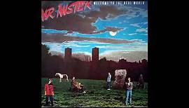 Mr. Mr. - Welcome To The Real World /1985 LP Album