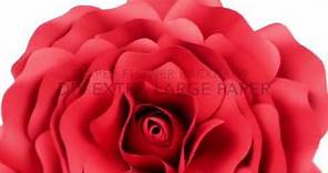 Extra Large Rose Template | DIY Paper Flower Backdrop for Wedding/Events