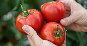 How to Peel Tomatoes Easily!