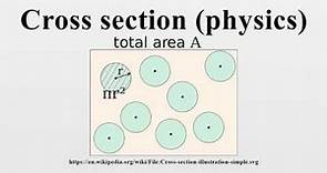 Cross section (physics)