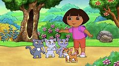 Watch Dora the Explorer Season 8 Episode 4: Kittens in Mittens - Full show on Paramount Plus