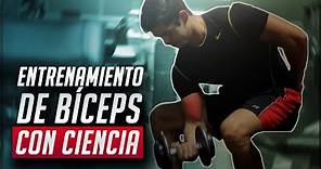 El mejor entrenamiento para bíceps / CIENTÍFICAMENTE COMPROBADO