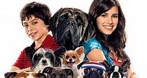 Hotel para perros - película: Ver online en español