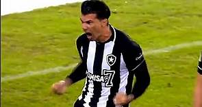 Victor Cuesta (El Patron) - Melhores Desarmes |Botafogo FR| 2022