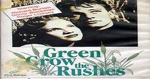 Green Grow the Rushes 1951- Richard Burton Honor Blackman Roger Livesey Frederick Leister John Salew.