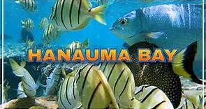 HANAUMA BAY ⛱️ One of the Best Snorkeling Spots in the World 🌴 Hawaii 4K Tour