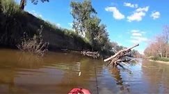 Dumaresq river - The great hunt for Murray Cod (day 1)