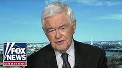 Gingrich: Democrats are more vulnerable than they think