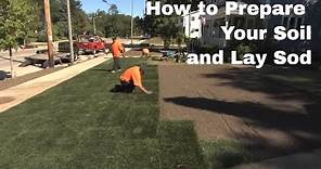 How to Prepare Your Soil and Lay Sod