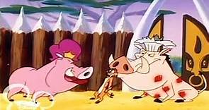 Timon & Pumbaa Season 1x37 - Home is Where The Hog Is Full Episode