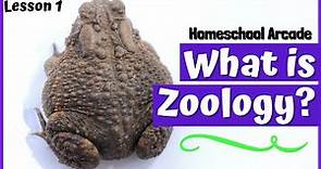 What is Zoology?