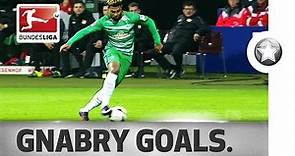 Serge Gnabry - All Goals 2016/17...So Far