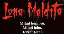 Luna maldita - película: Ver online completas en español