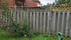 We fix fence posts in the... - Lean on Me- Fence Post repair