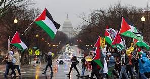 Protestas masivas pro-Palestina y ocupaciones en universidades