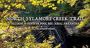 Hiking the Best of the Ozark Mountains on the North Sylamore Creek Trail