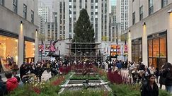 Rockefeller Center Christmas tree arrives in Midtown
