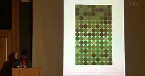 Color in Context: Revisiting Albers, with Anoka Faruqee