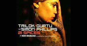Trilok Gurtu, Simon Phillips & NDR Bigband - 21 Spices (Full Album)