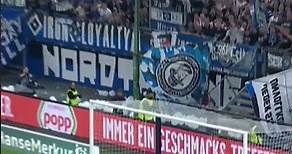 SCHÖNER KANN MAN EINEN KONTER NICHT SPIELEN! 😍 Laszlo Benes trifft gegen Schalke 04! 🔷 #nurderhsv