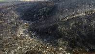 Waldbrand in Griechenland: Aktuelle News von heute | FAZ Nachrichten