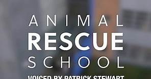 RSPCA Animal Rescue School
