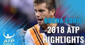 BORNA CORIC: 2018 ATP Highlight Reel