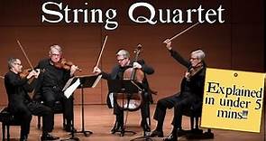 The string Quartet explained in less than 5 minutes