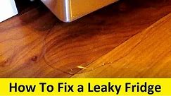 How To Fix a Leaky Refrigerator