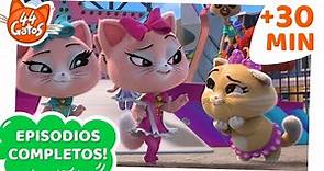 44 Gatos | Latinoamérica | +30 MINUTOS | Todos los episodios con Pinky Paws