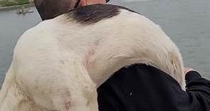 社團法人台南市流浪動物愛護協會 - 剛剛還抱了一隻20幾公斤的狗，一天下來運動都免了。 #絕育