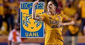 Los 7 Goles de Carlos Salcedo con Tigres