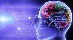 Brain waves move in different directions while making memory and recalling