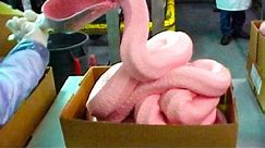 Pink Slime In McDonald's Burgers
