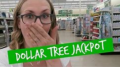 HUGE DOLLAR TREE Shop with Me! 💚 Organization Jackpot!!
